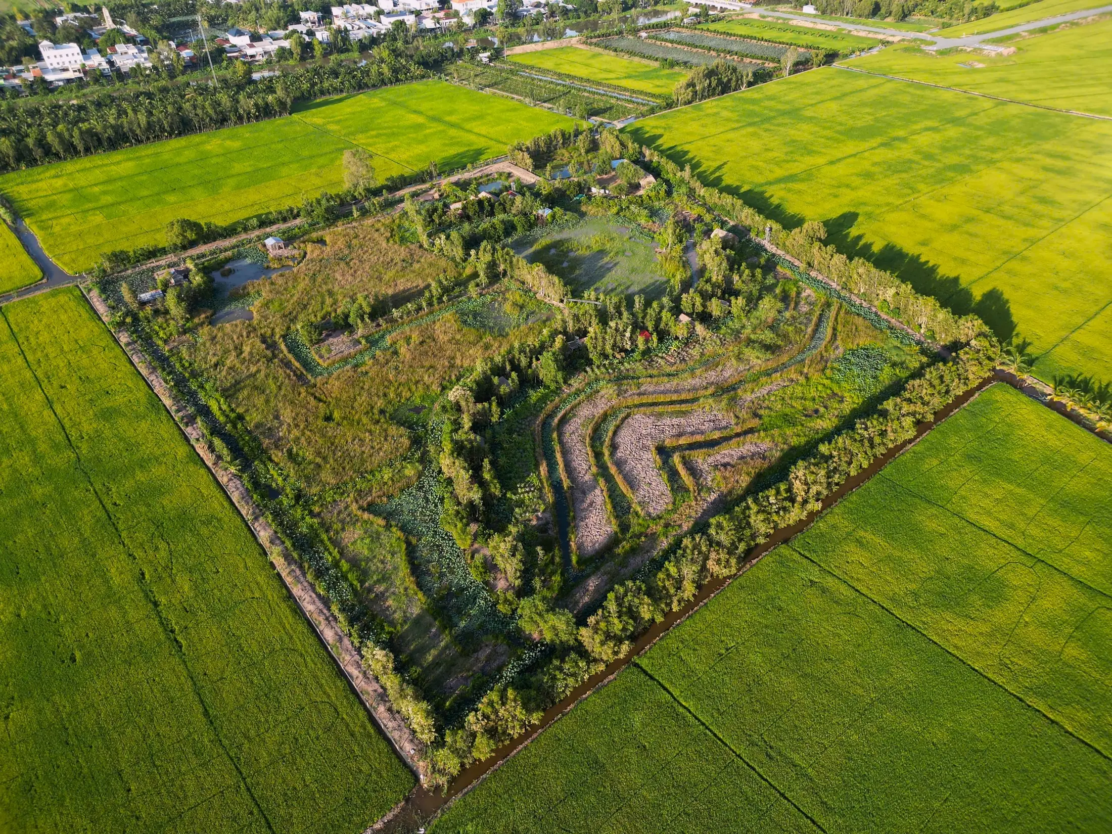 An aerial view of wetlands, fields and Việt Mekong Farmstay in Tram Chim