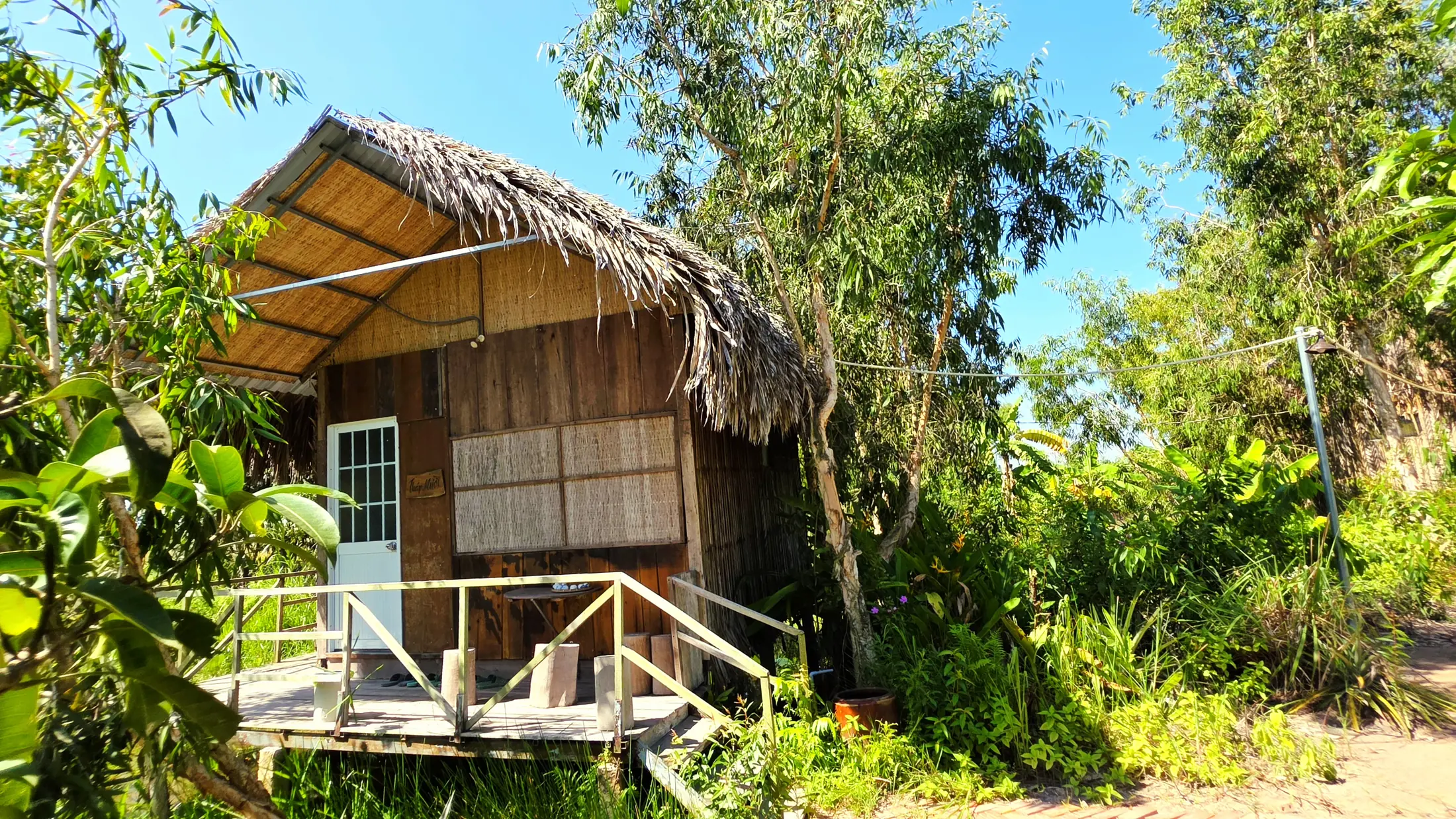 Thatched eco accommodation beside water and vegetation