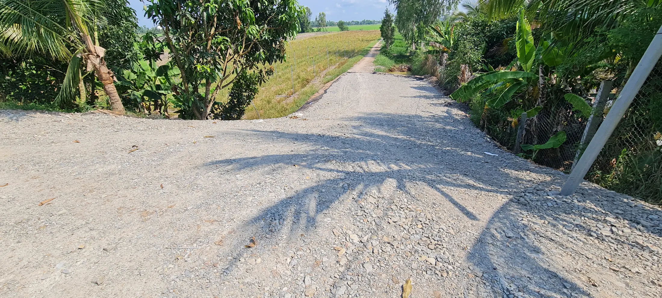 Đường nông thôn dẫn về Việt Mekong Farmstay