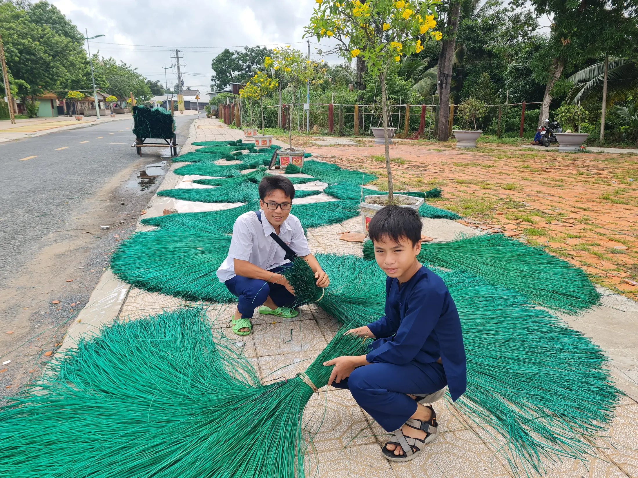 Prepared green weaving materials drying beside a village road