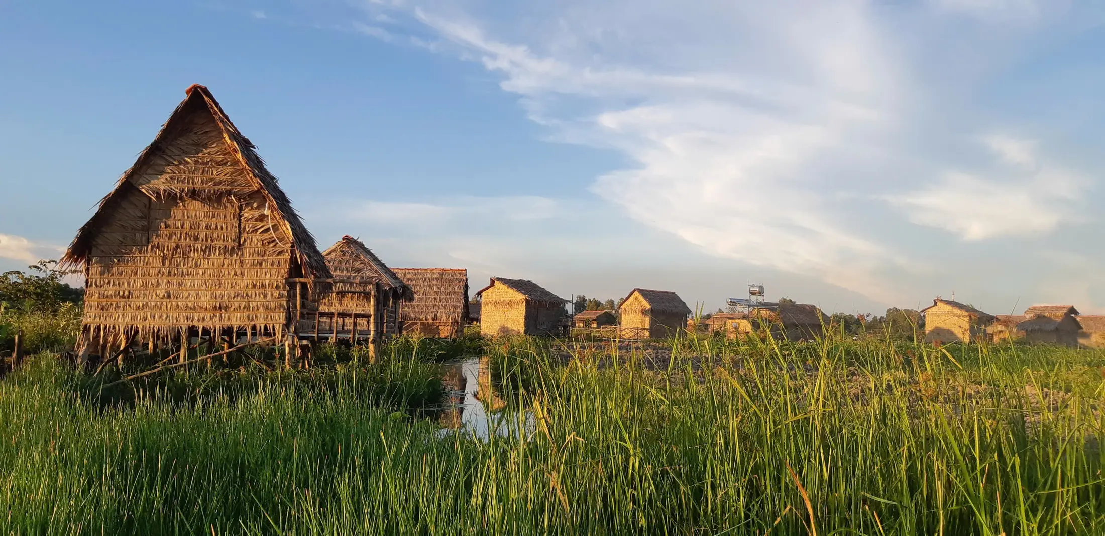 Thatched structures in a broad green wetland landscape
