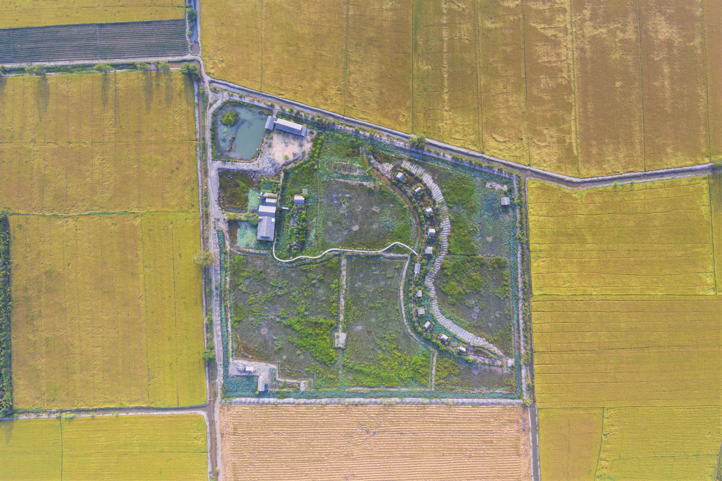 Aerial view of Viet Mekong Farmstay surrounded by fields